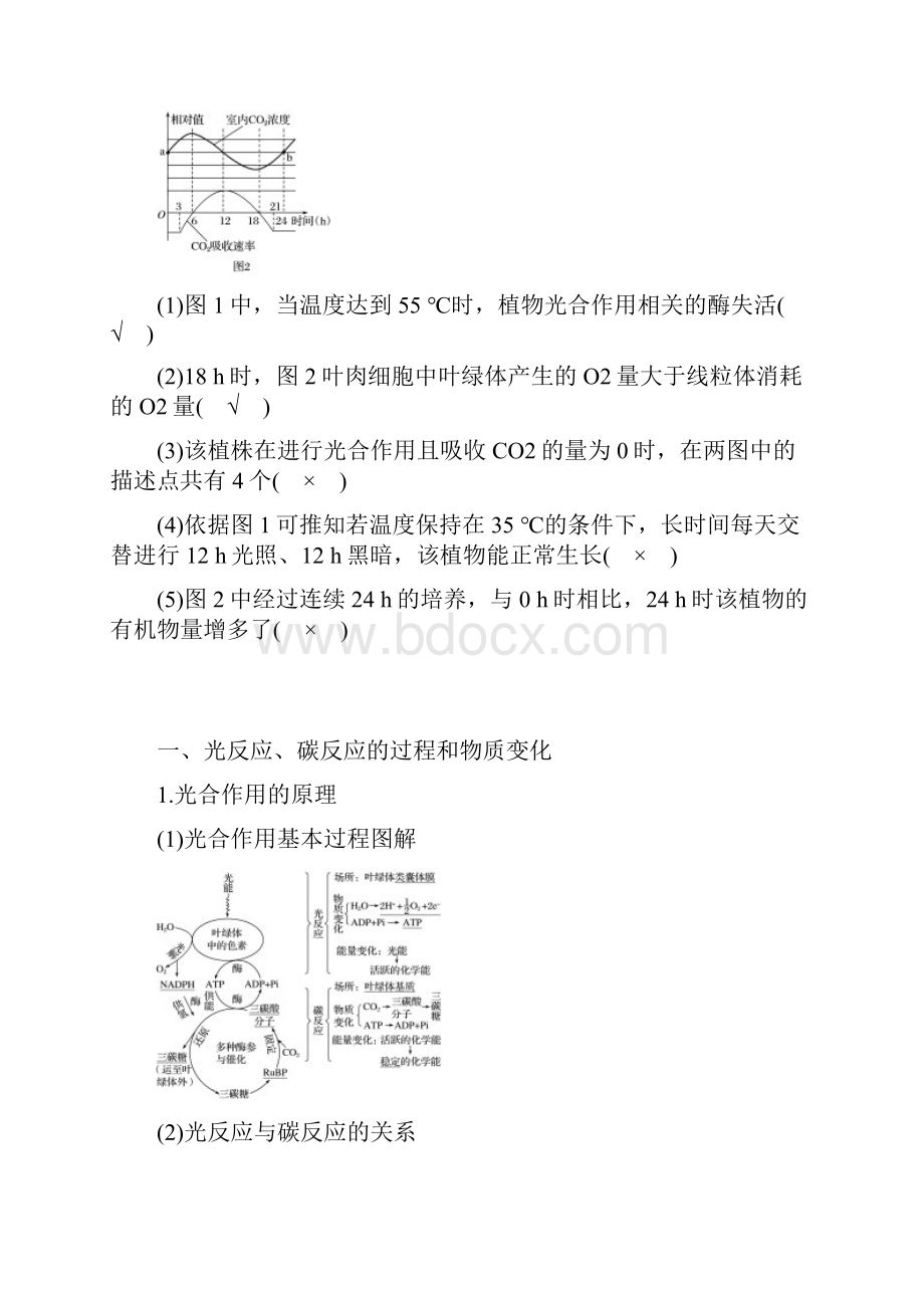 部编本人教版最新版高考生物大二轮复习 专题三 细胞呼吸与光合作用 考点2 光合作用练习必做练习.docx_第3页