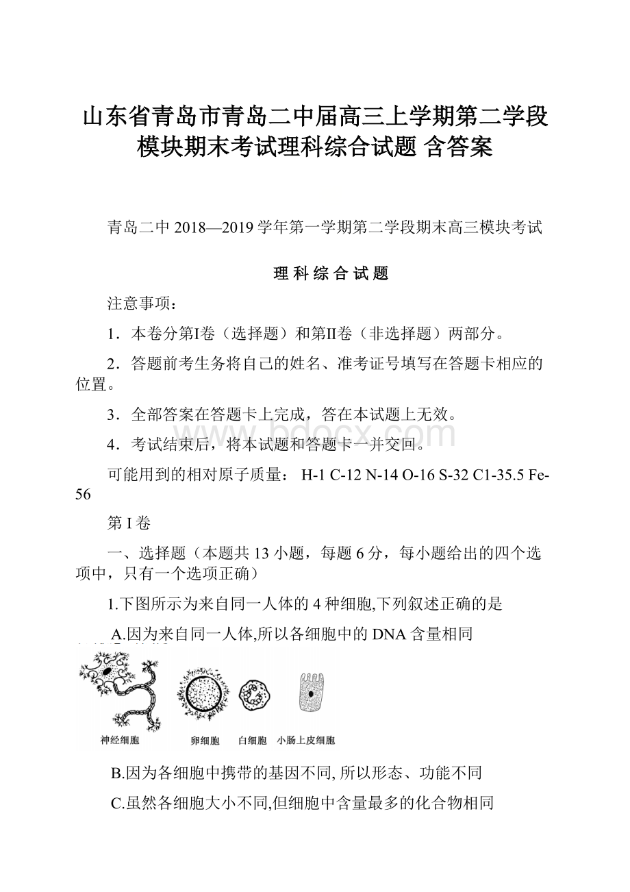 山东省青岛市青岛二中届高三上学期第二学段模块期末考试理科综合试题 含答案.docx