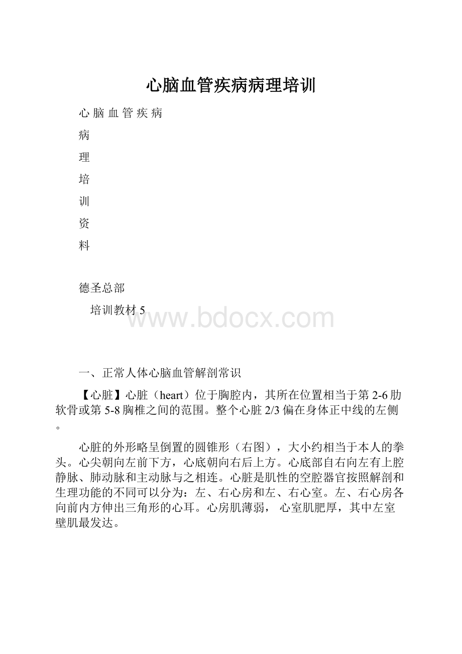 心脑血管疾病病理培训.docx