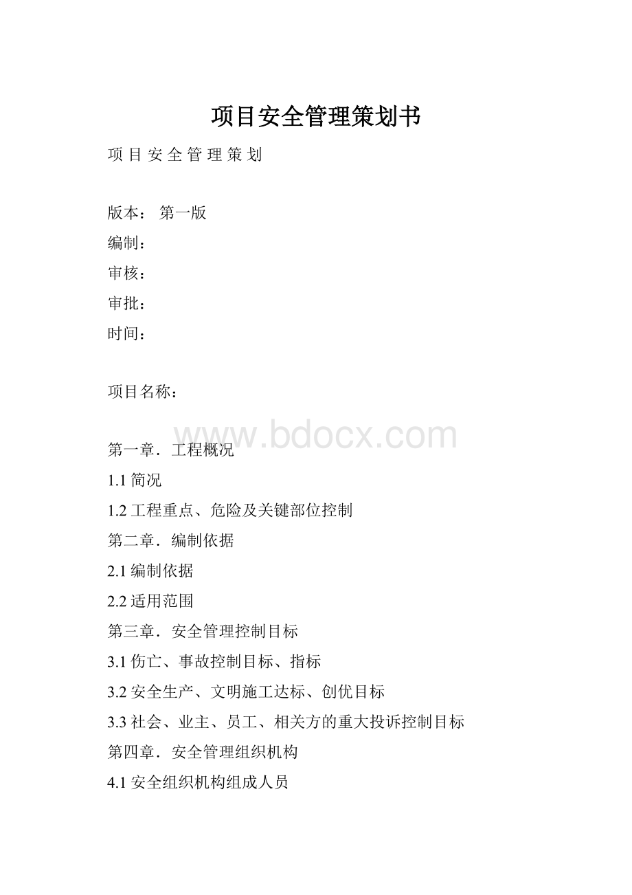 项目安全管理策划书.docx