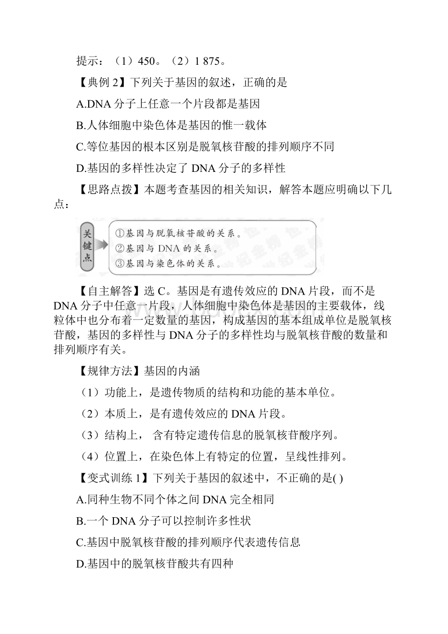 精练精析334 DNA的复制基因是有遗传效应的DNA片段新人教版必修2.docx_第2页