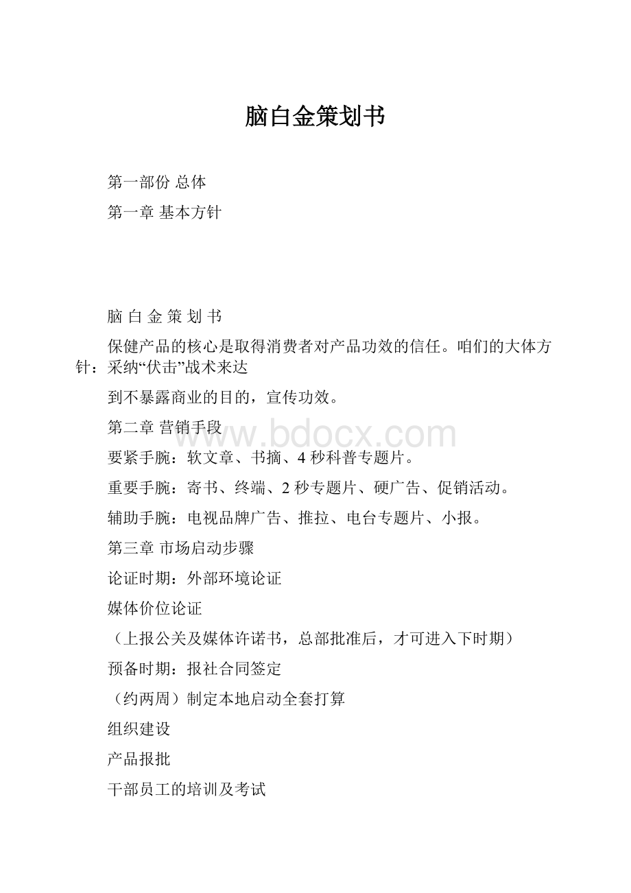 脑白金策划书.docx