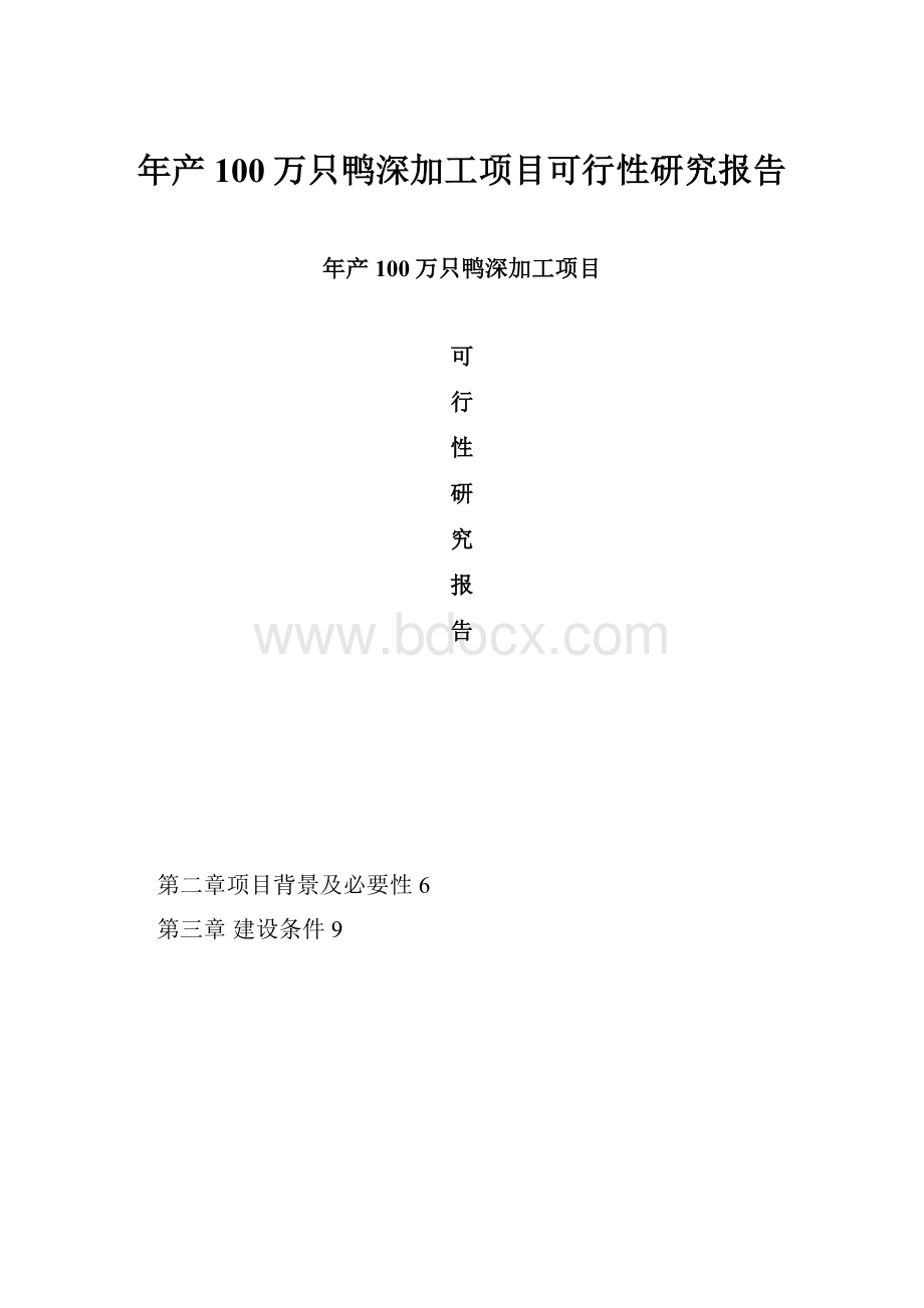 年产100万只鸭深加工项目可行性研究报告.docx