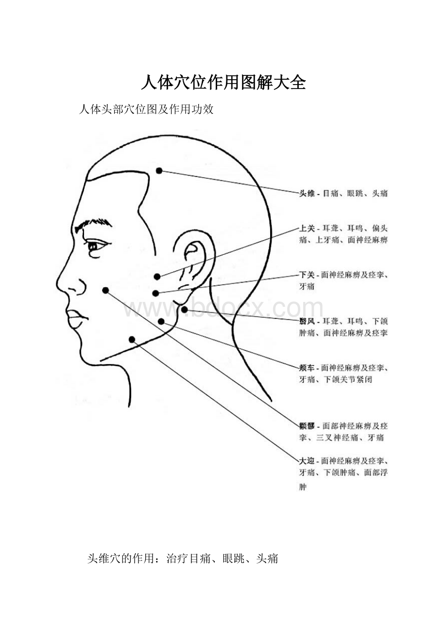 人体穴位作用图解大全.docx