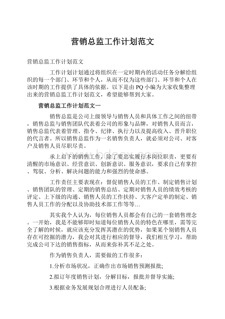 营销总监工作计划范文.docx