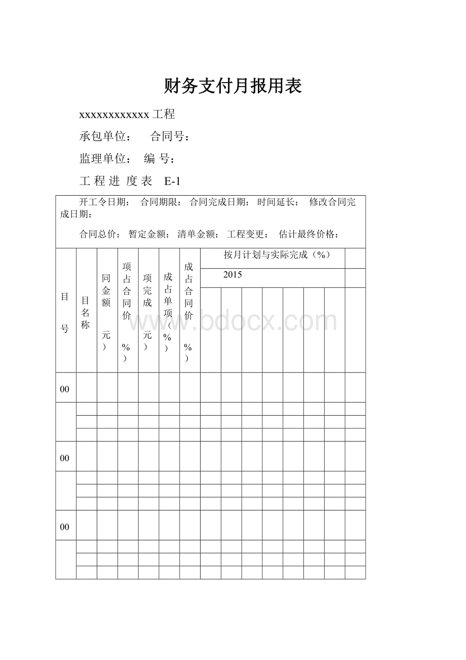 财务支付月报用表.docx