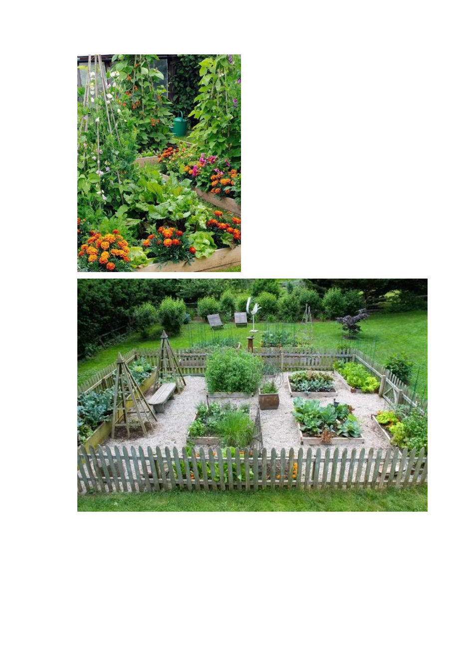 30种最佳的可食用花园DIY设计.docx_第3页