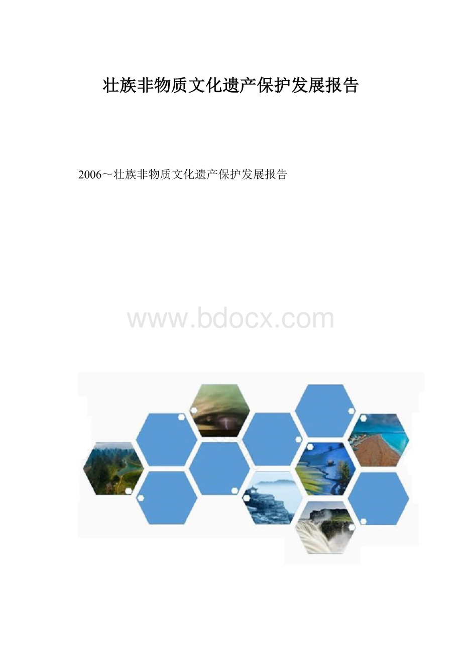 壮族非物质文化遗产保护发展报告.docx