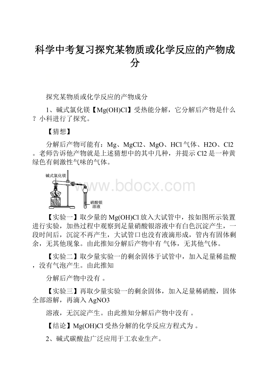 科学中考复习探究某物质或化学反应的产物成分.docx