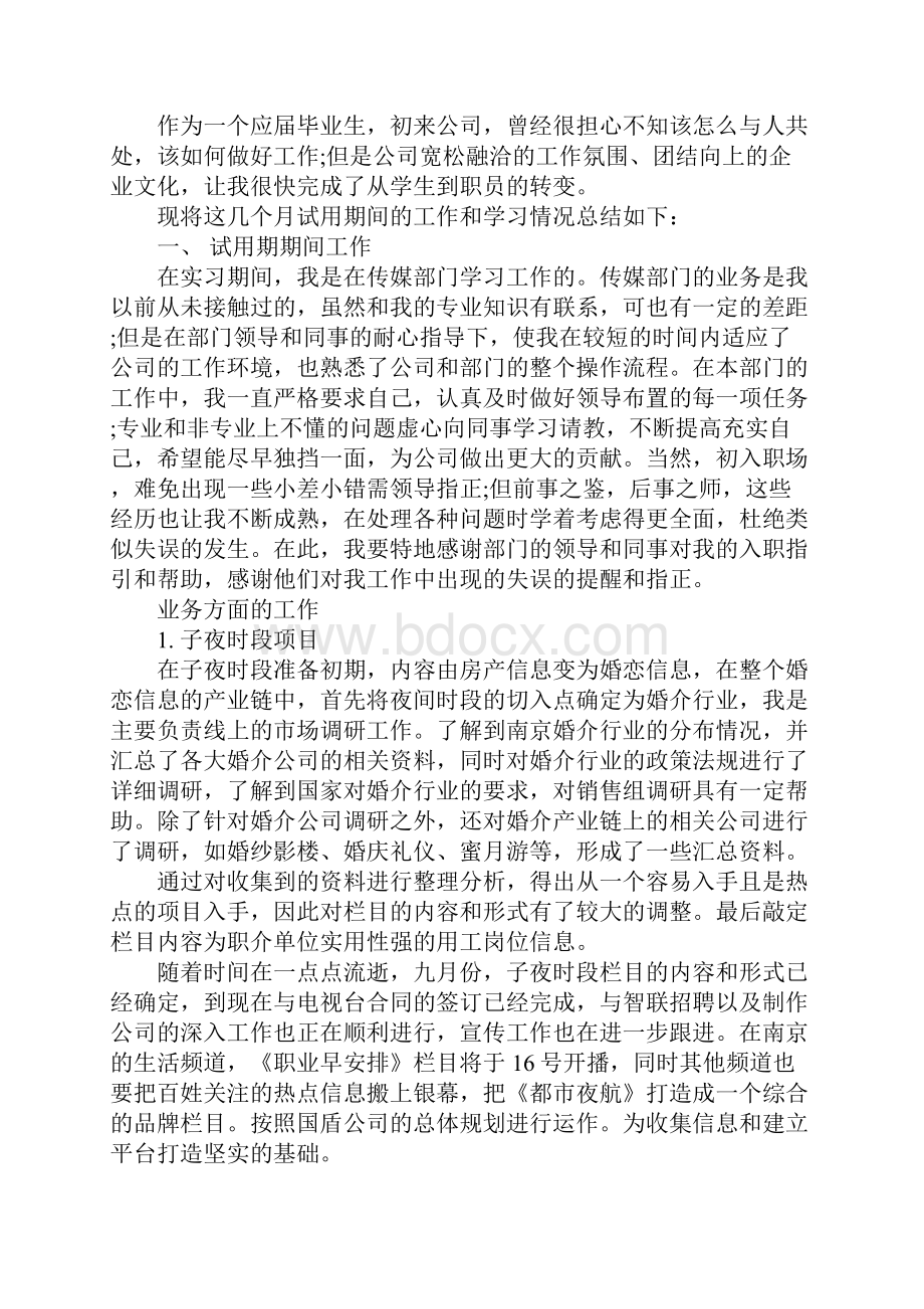 销售代表试用期工作总结.docx_第3页