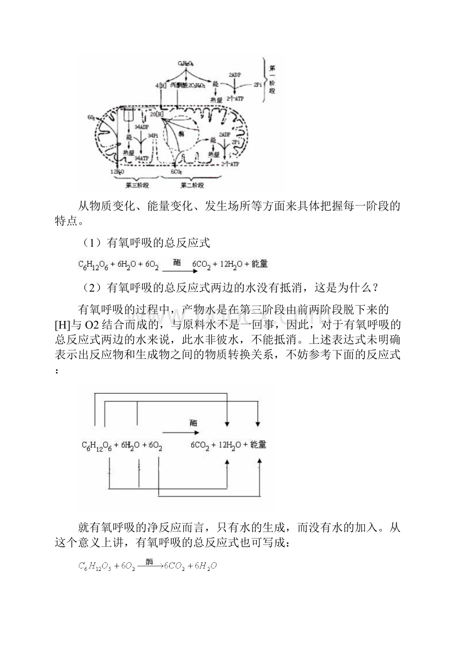 细胞呼吸知识点复习及答案DOC.docx_第2页