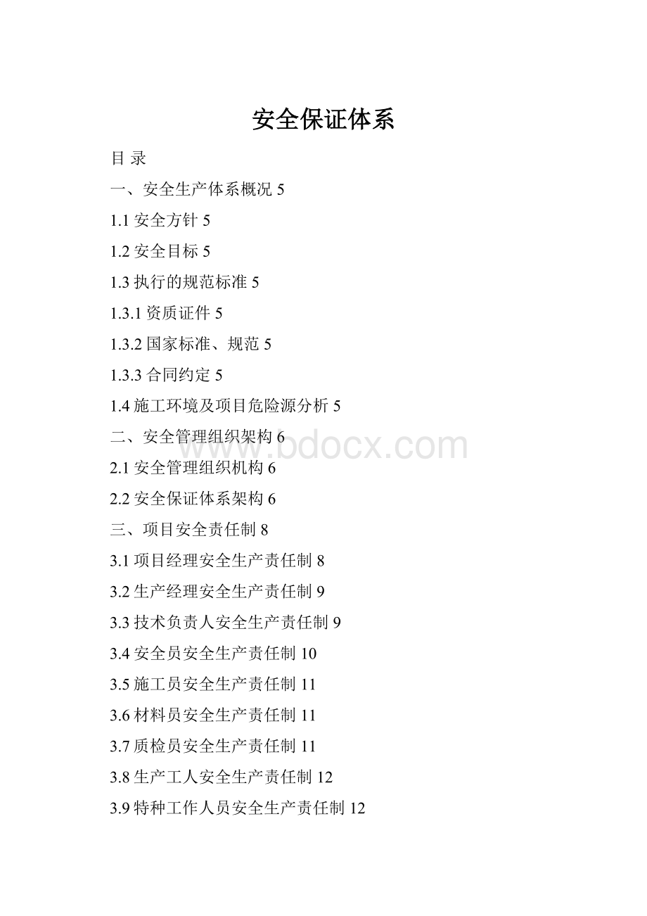 安全保证体系.docx_第1页