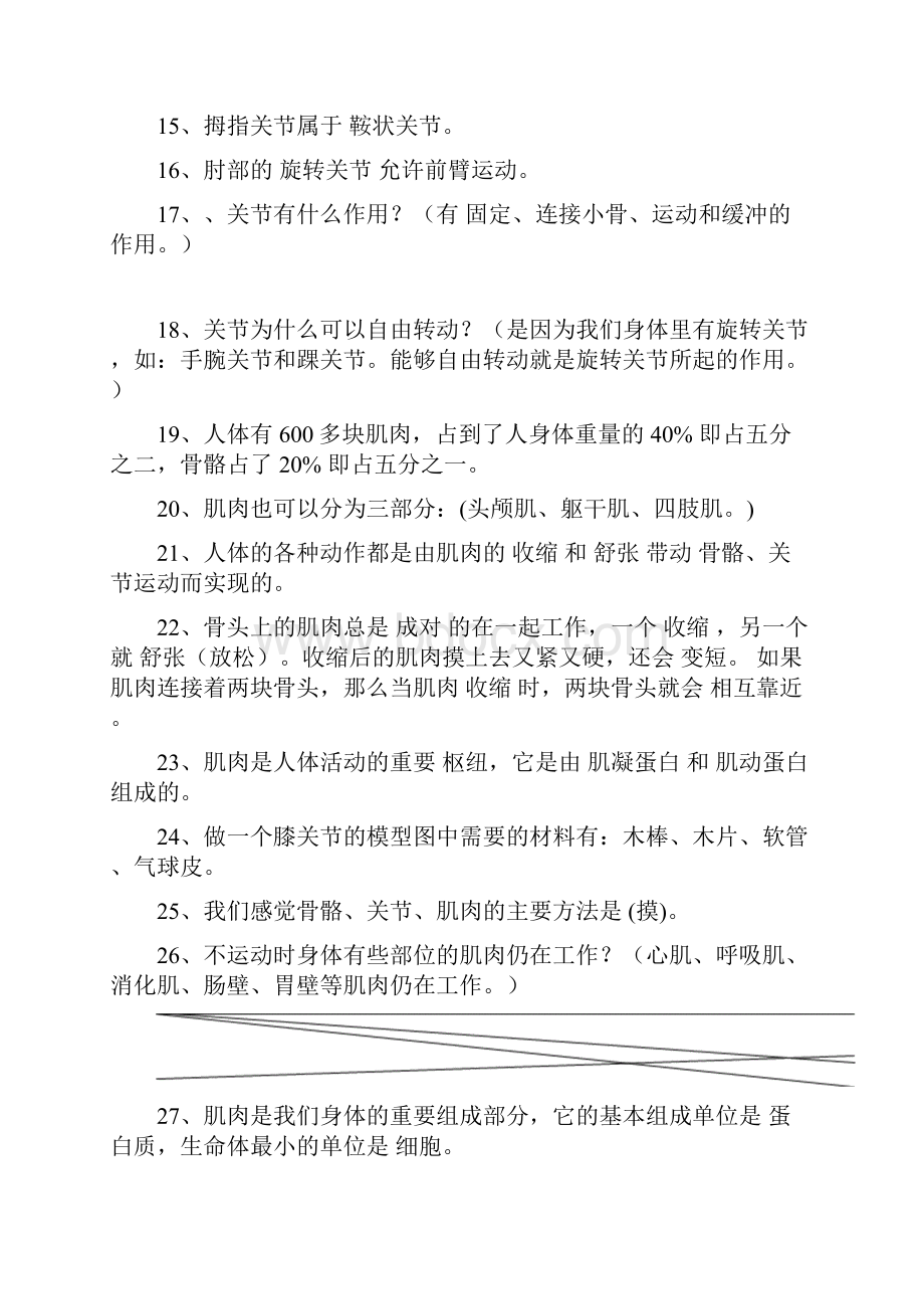 苏教版四年级科学下册复习资料一目了然.docx_第2页