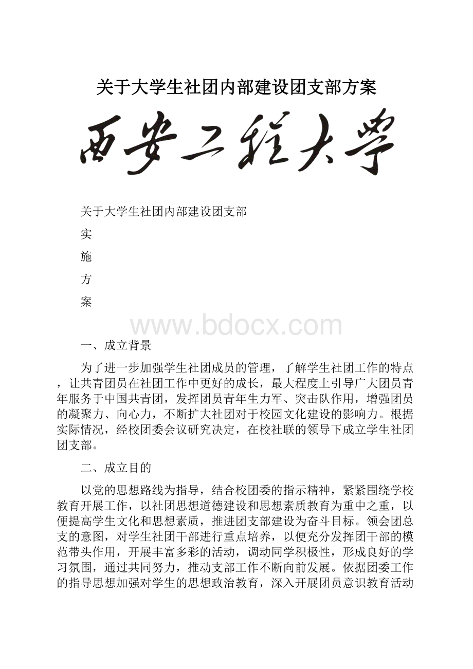 关于大学生社团内部建设团支部方案.docx