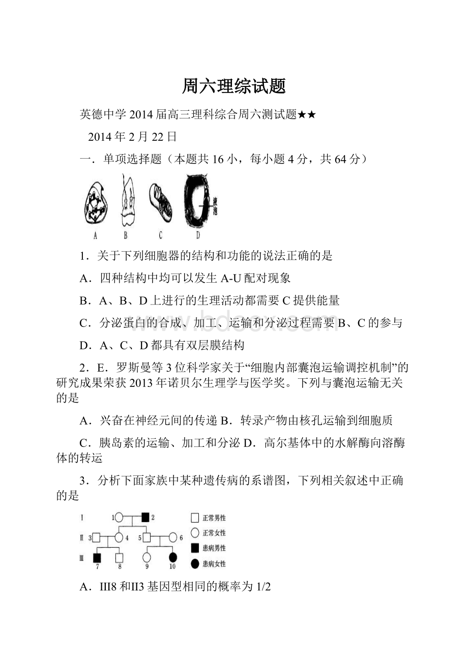 周六理综试题.docx