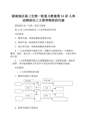 湖南地区高三生物一轮复习教案第11讲 人和动物体内三大营养物质的代谢.docx