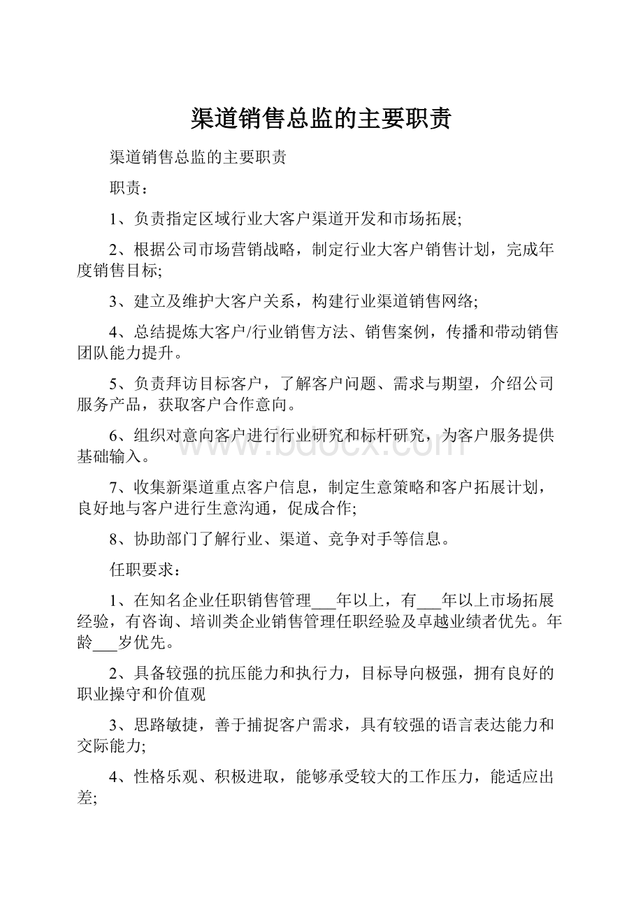 渠道销售总监的主要职责.docx