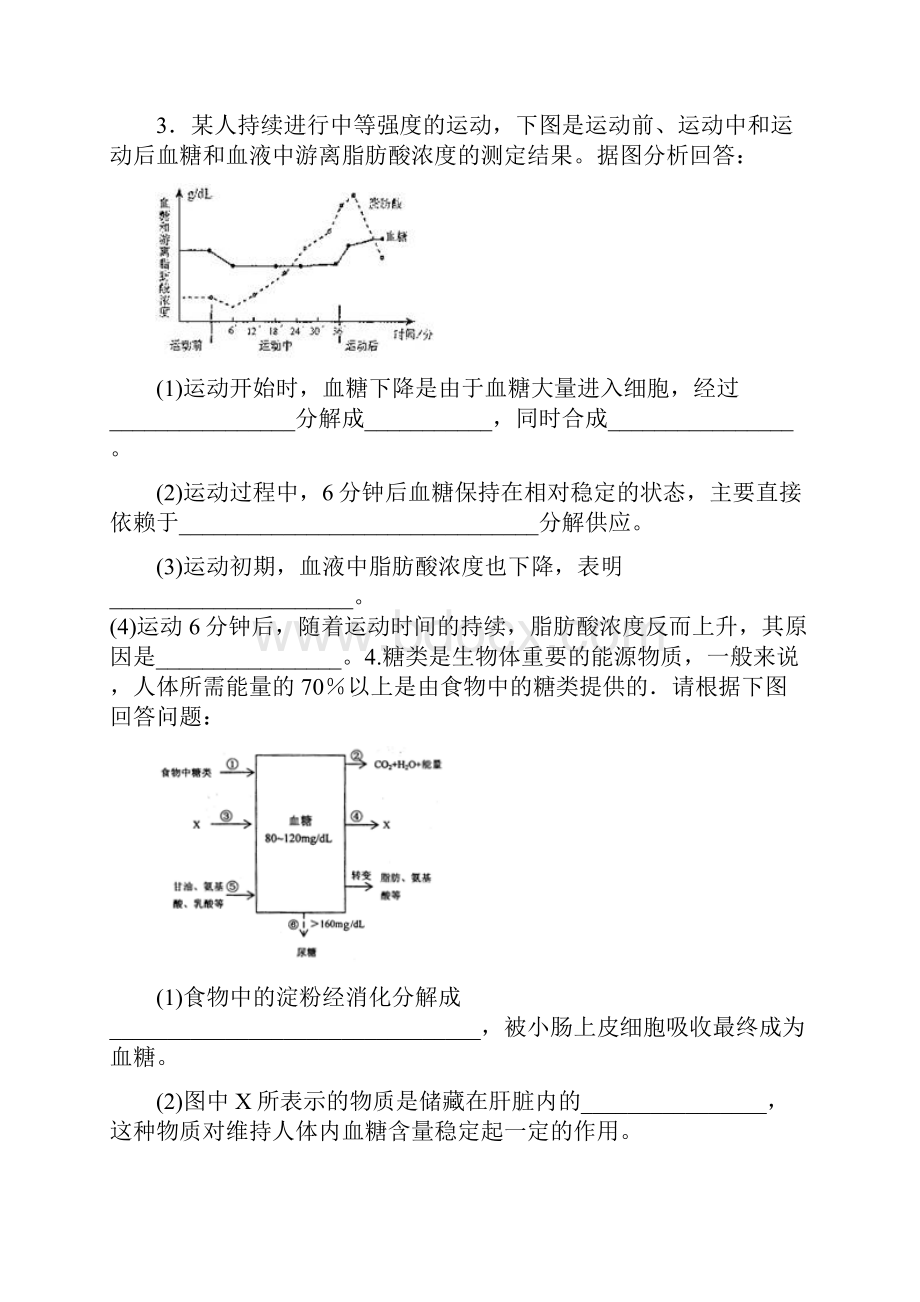 血糖的调节.docx_第2页