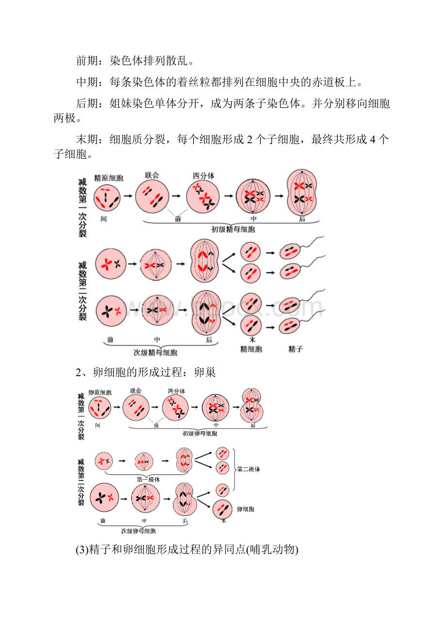 一轮复习专题01 减数分裂和有性生殖原卷版.docx_第2页