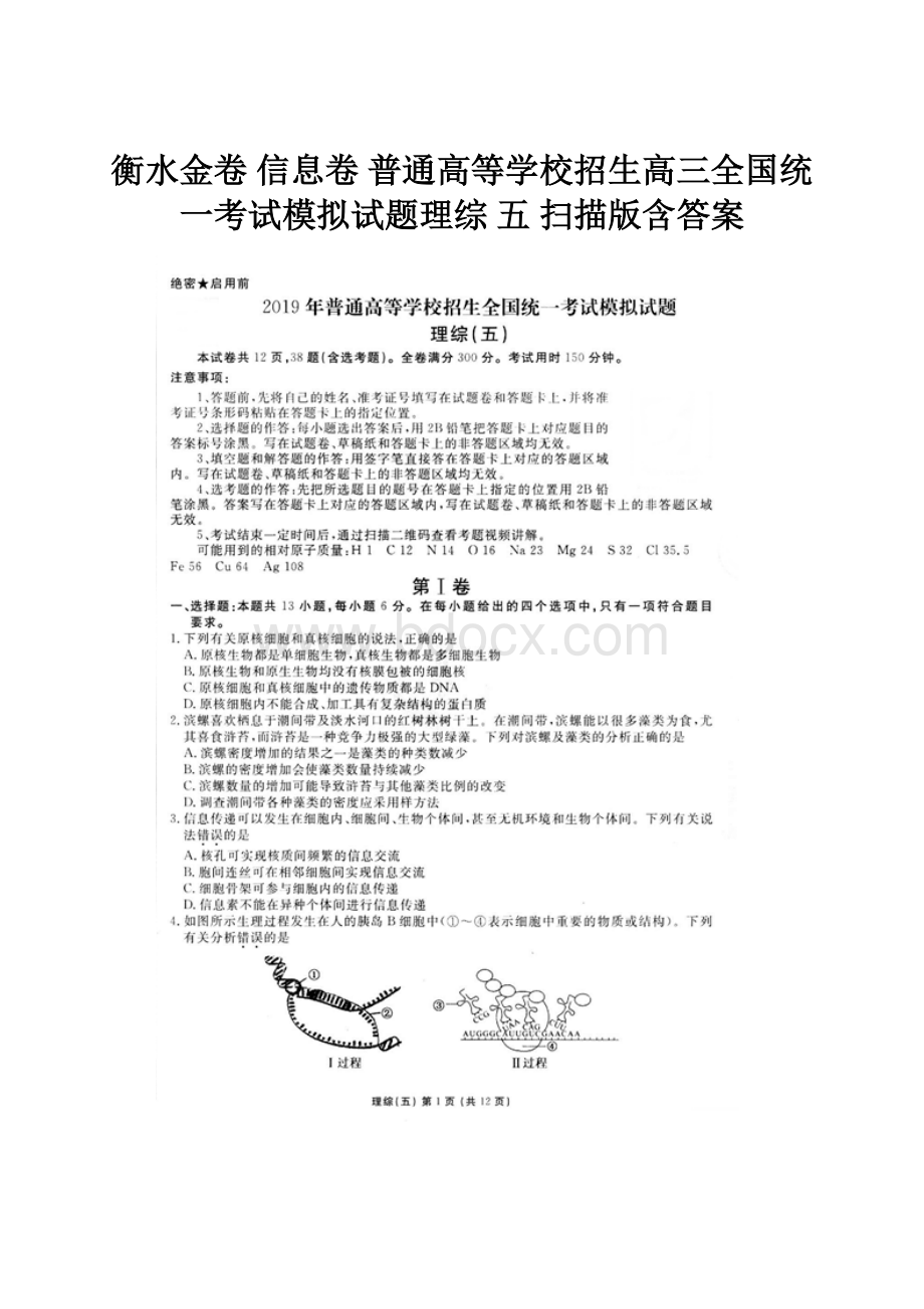 衡水金卷 信息卷 普通高等学校招生高三全国统一考试模拟试题理综 五扫描版含答案.docx_第1页