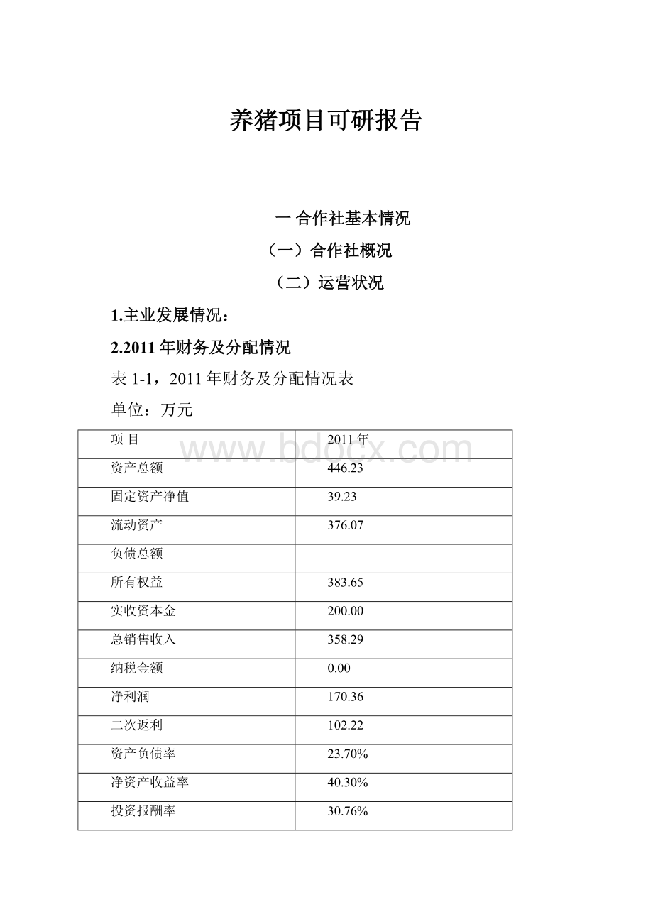 养猪项目可研报告.docx