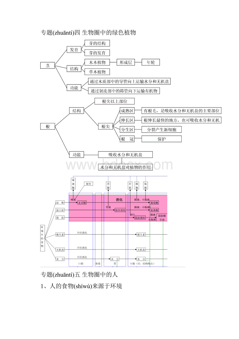 初中生物全部概念图共23页.docx_第3页