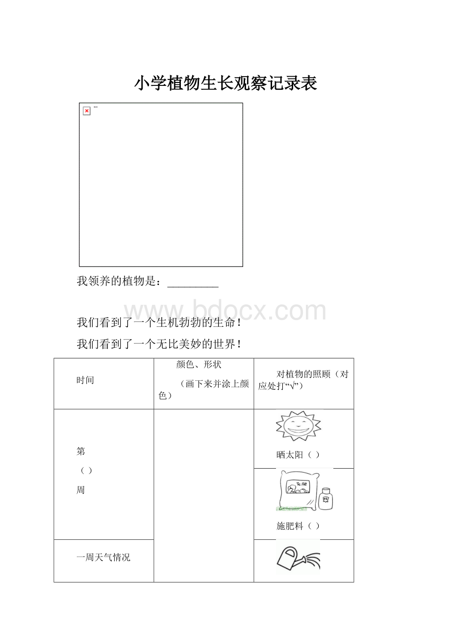 小学植物生长观察记录表.docx_第1页