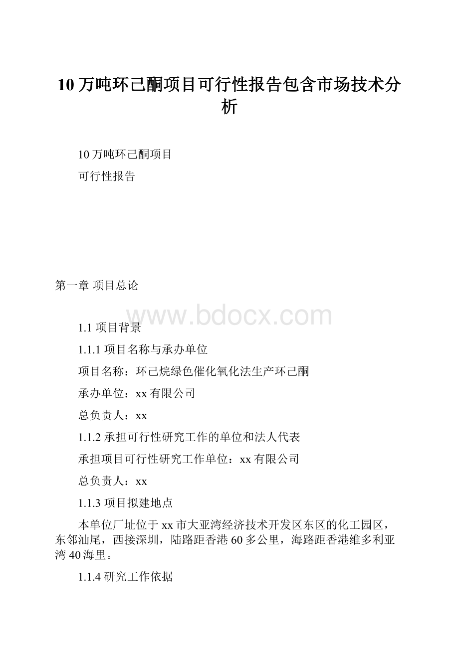 10万吨环己酮项目可行性报告包含市场技术分析.docx