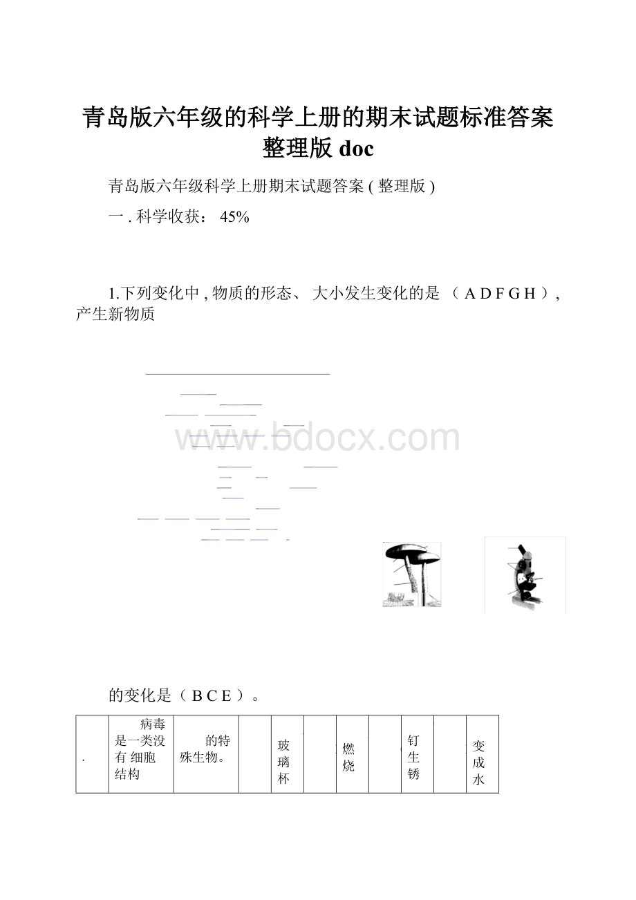 青岛版六年级的科学上册的期末试题标准答案整理版doc.docx