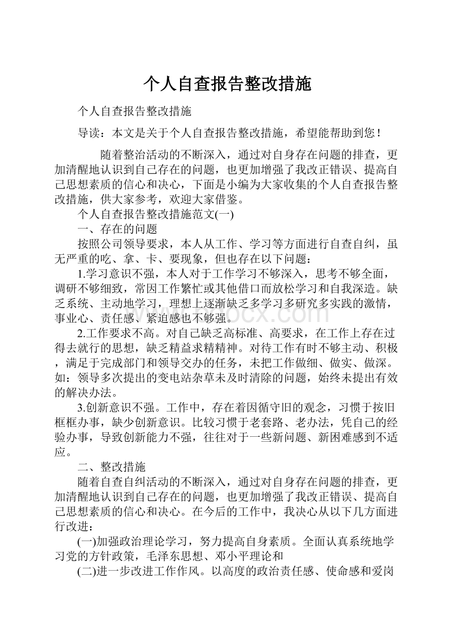 个人自查报告整改措施.docx