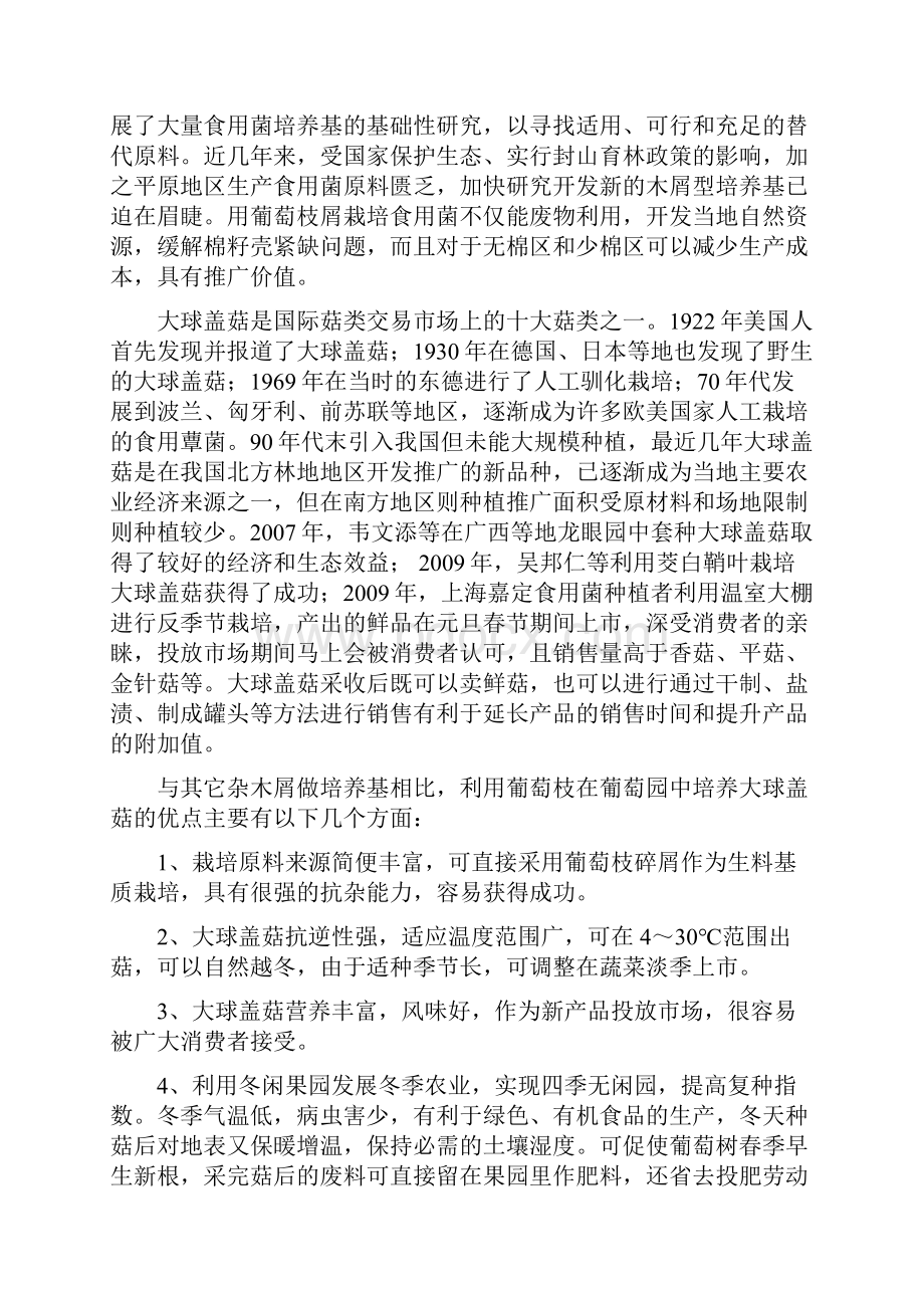 大球盖菇菌栽培技术的研究可行性报告.docx_第3页