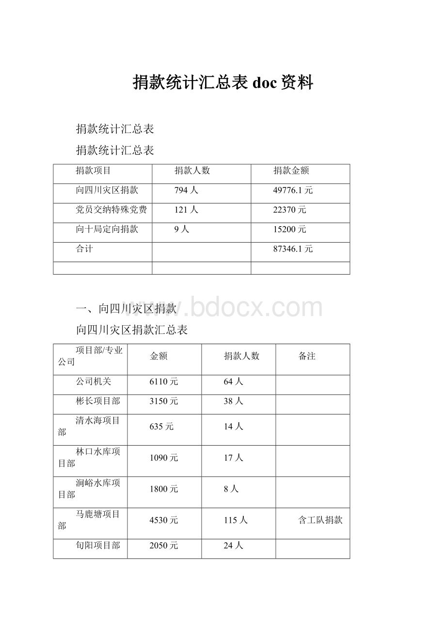 捐款统计汇总表doc资料.docx