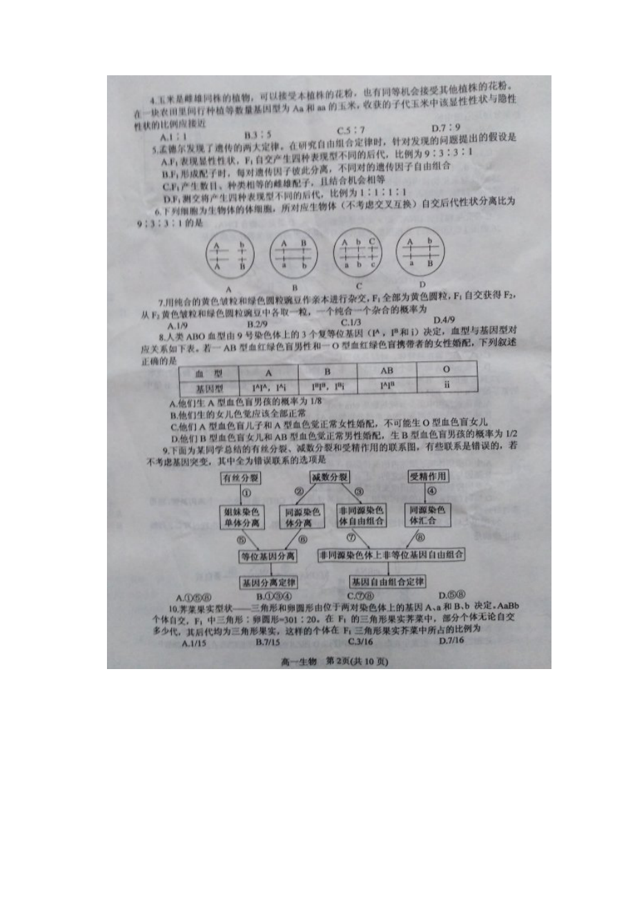 河南省南阳市学年高一下学期期末考试生物试题 扫描版含答案.docx_第2页