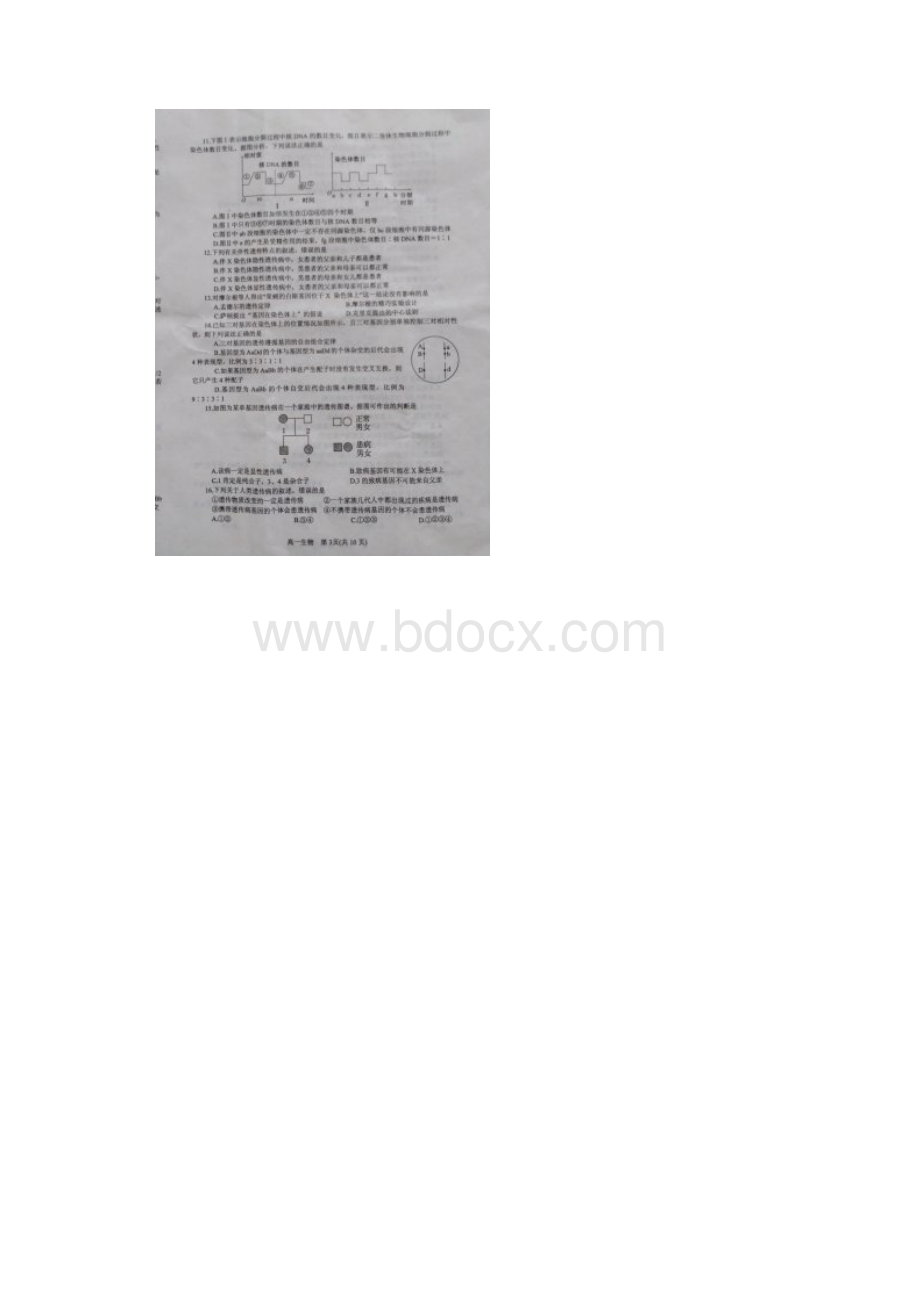 河南省南阳市学年高一下学期期末考试生物试题 扫描版含答案.docx_第3页