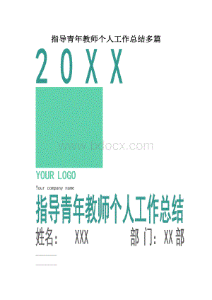 指导青年教师个人工作总结多篇.docx