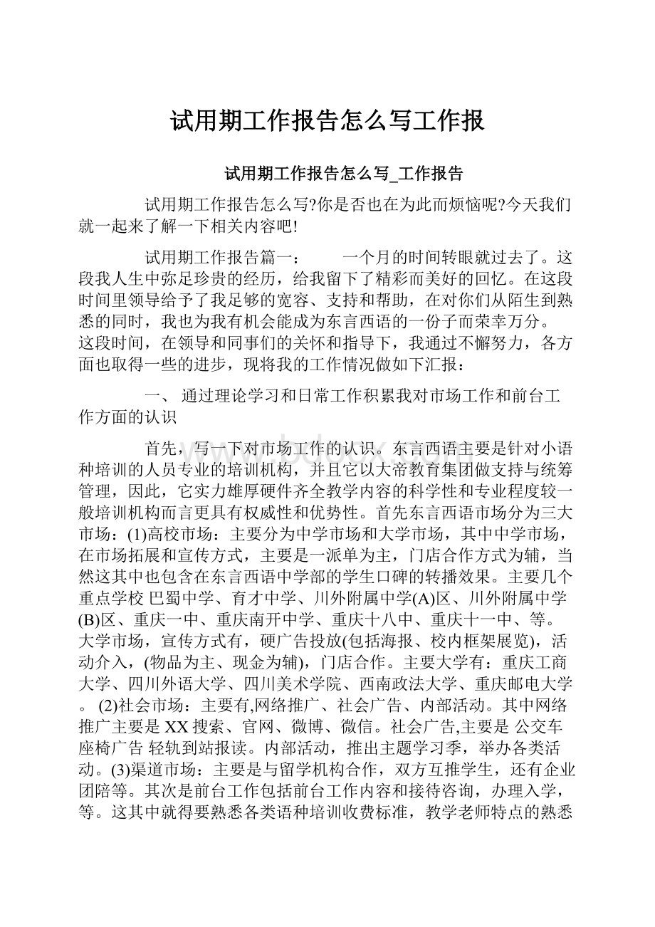 试用期工作报告怎么写工作报.docx