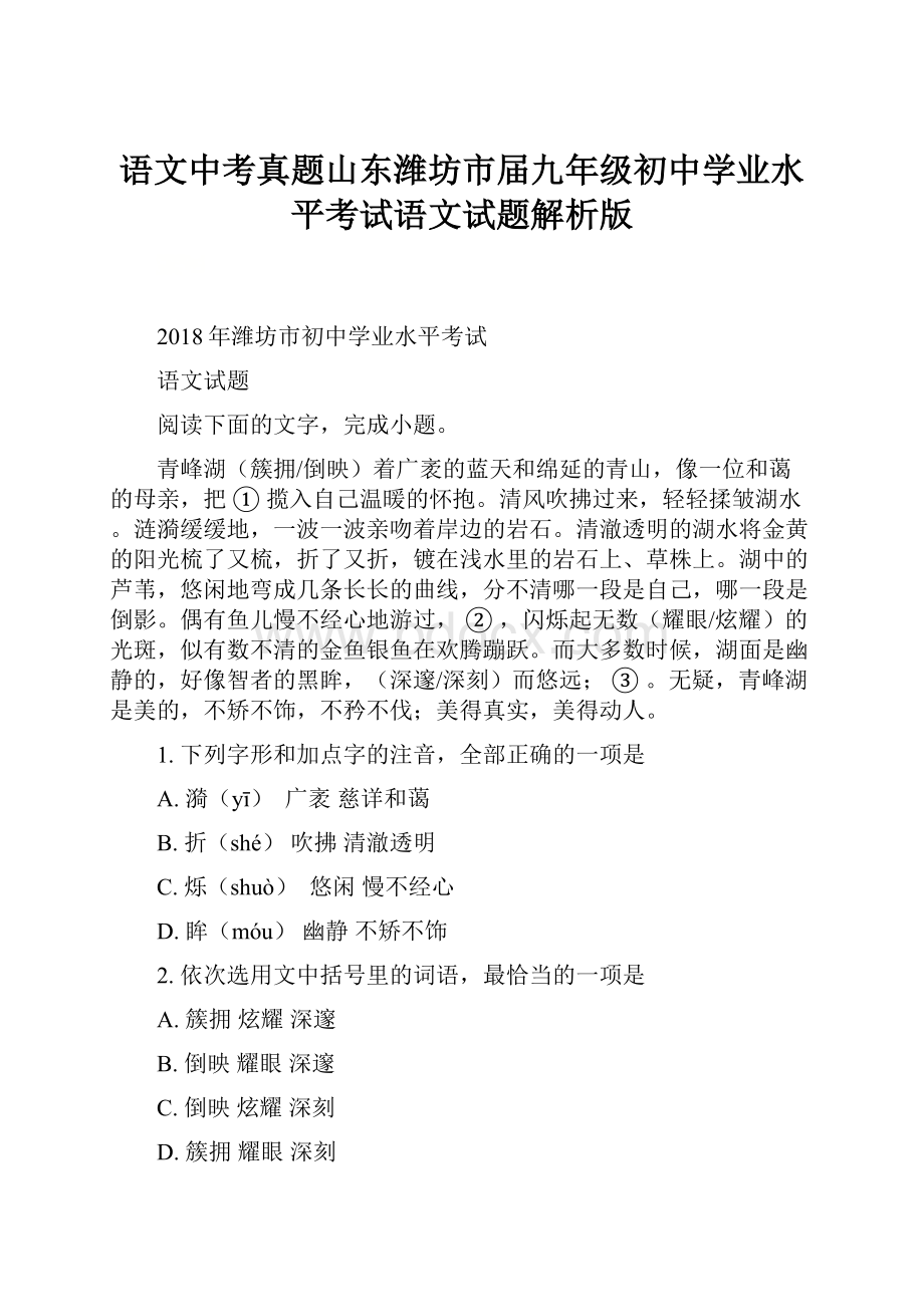 语文中考真题山东潍坊市届九年级初中学业水平考试语文试题解析版.docx