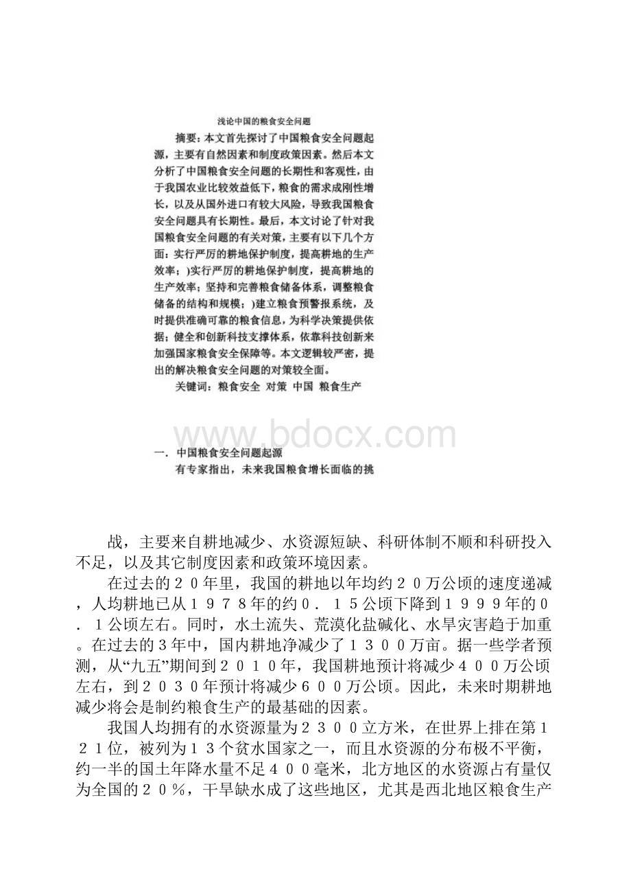 论文《浅论中国的粮食安全问题》.docx_第2页