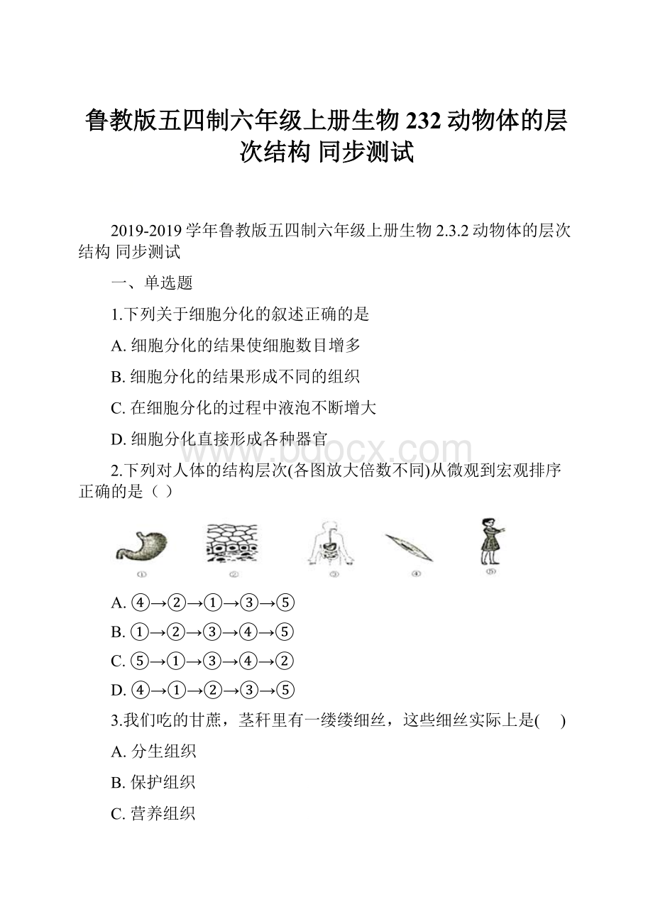 鲁教版五四制六年级上册生物 232动物体的层次结构 同步测试.docx