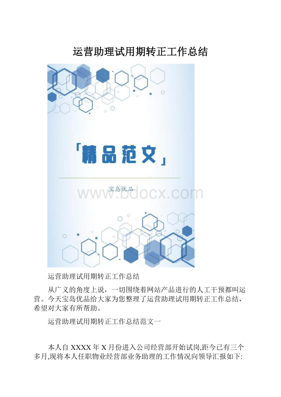 运营助理试用期转正工作总结.docx