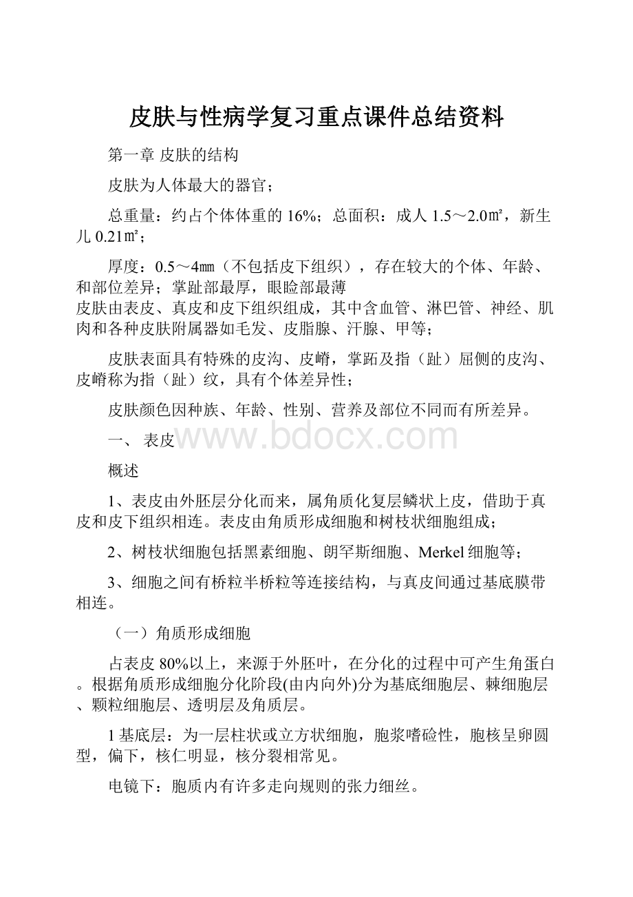 皮肤与性病学复习重点课件总结资料.docx