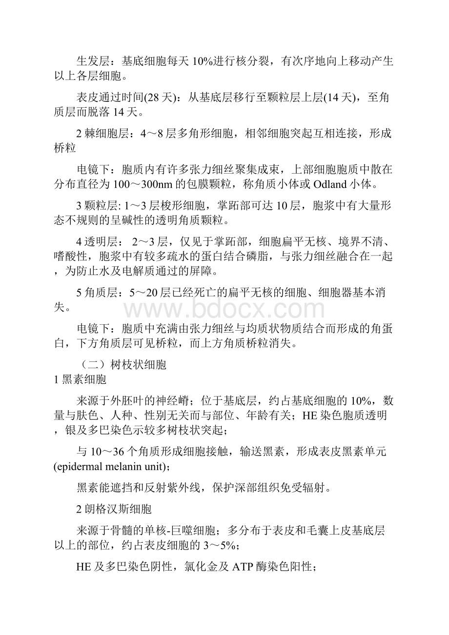 皮肤与性病学复习重点课件总结资料.docx_第2页