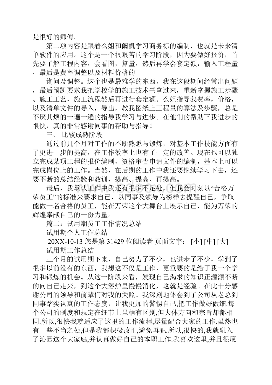 试用期工作完成情况总结.docx_第2页