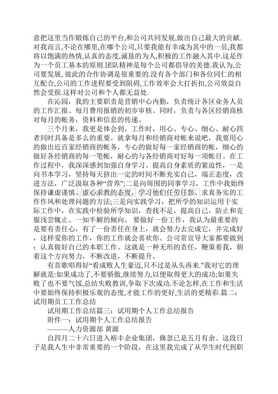 试用期工作完成情况总结.docx_第3页