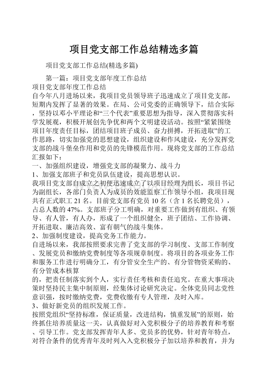 项目党支部工作总结精选多篇.docx