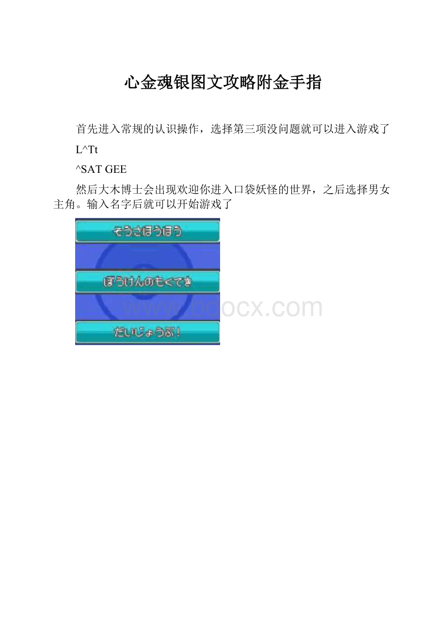 心金魂银图文攻略附金手指.docx