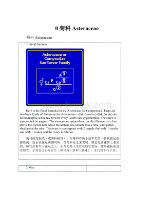 0菊科Asteraceae.docx