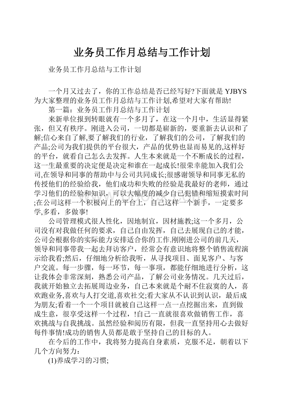 业务员工作月总结与工作计划.docx