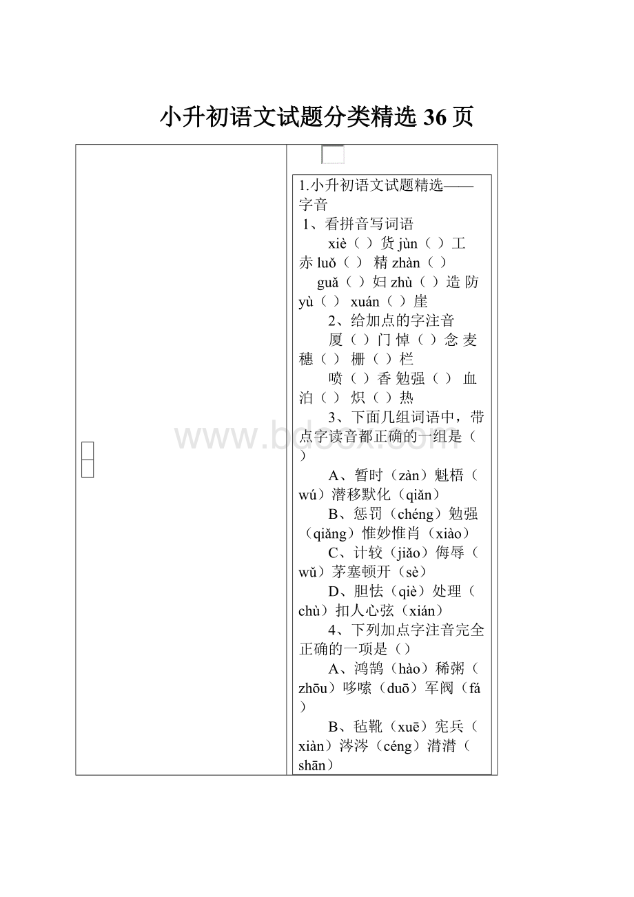 小升初语文试题分类精选 36页.docx