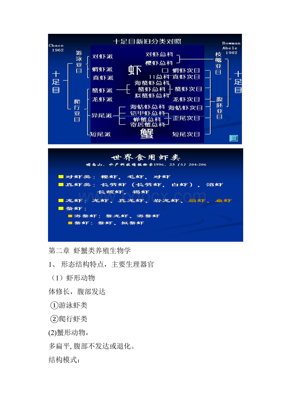 甲壳贝类养殖学复习综述.docx_第3页